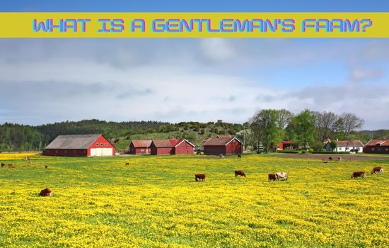 What is a Gentleman's Farm For Sale?